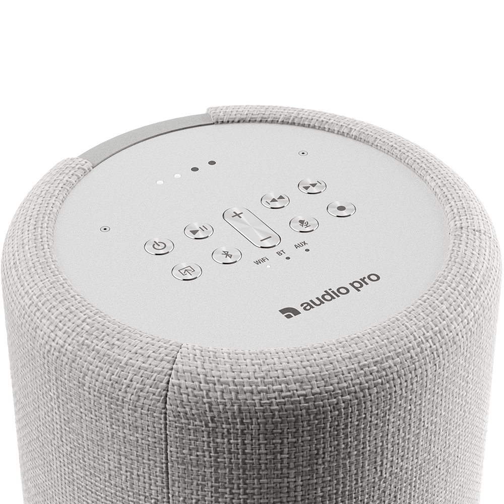 Google 2024 chrome speaker